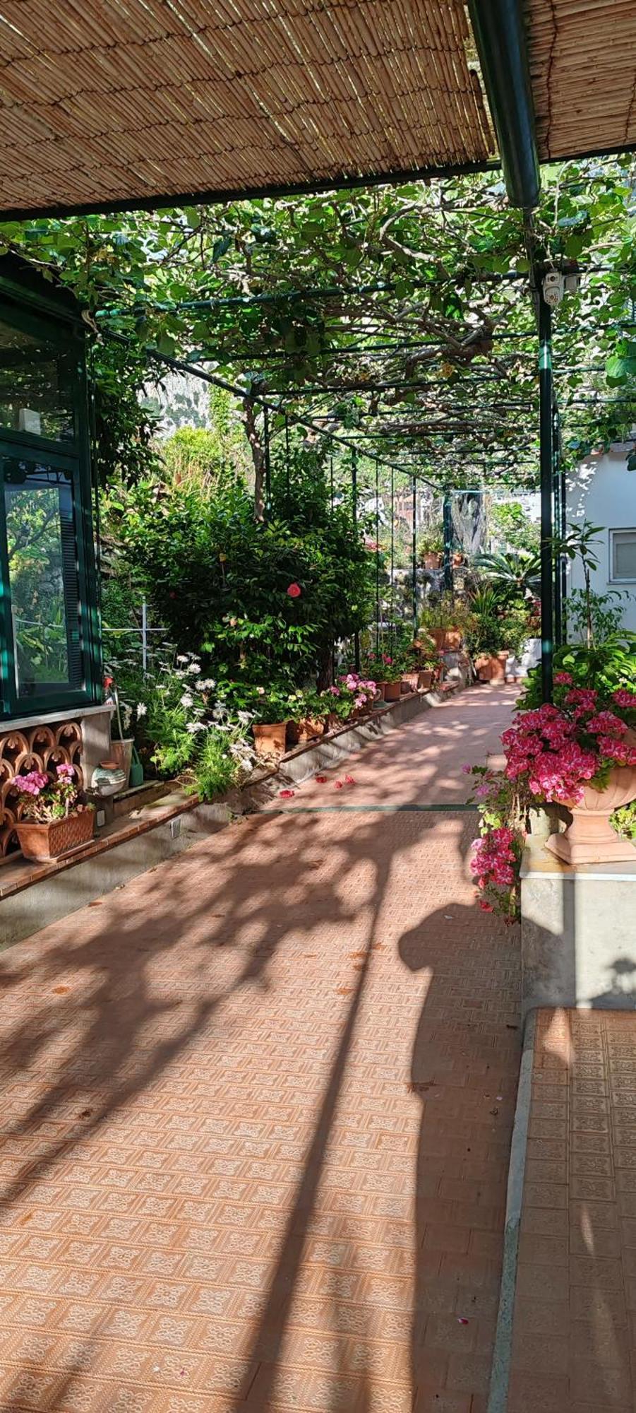 Villa Dei Fiori B&B カプリ エクステリア 写真