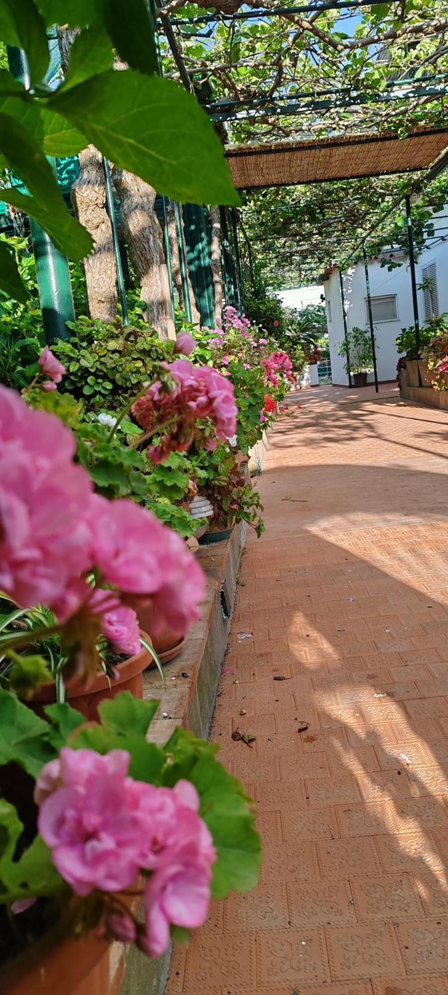 Villa Dei Fiori B&B カプリ エクステリア 写真